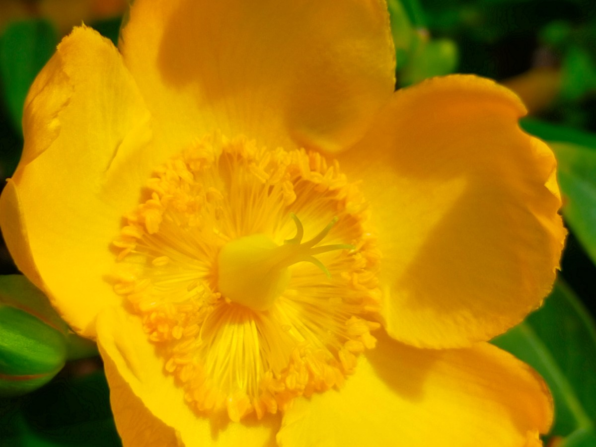 Guests Feedback is beautiful, thank&nbsp;you