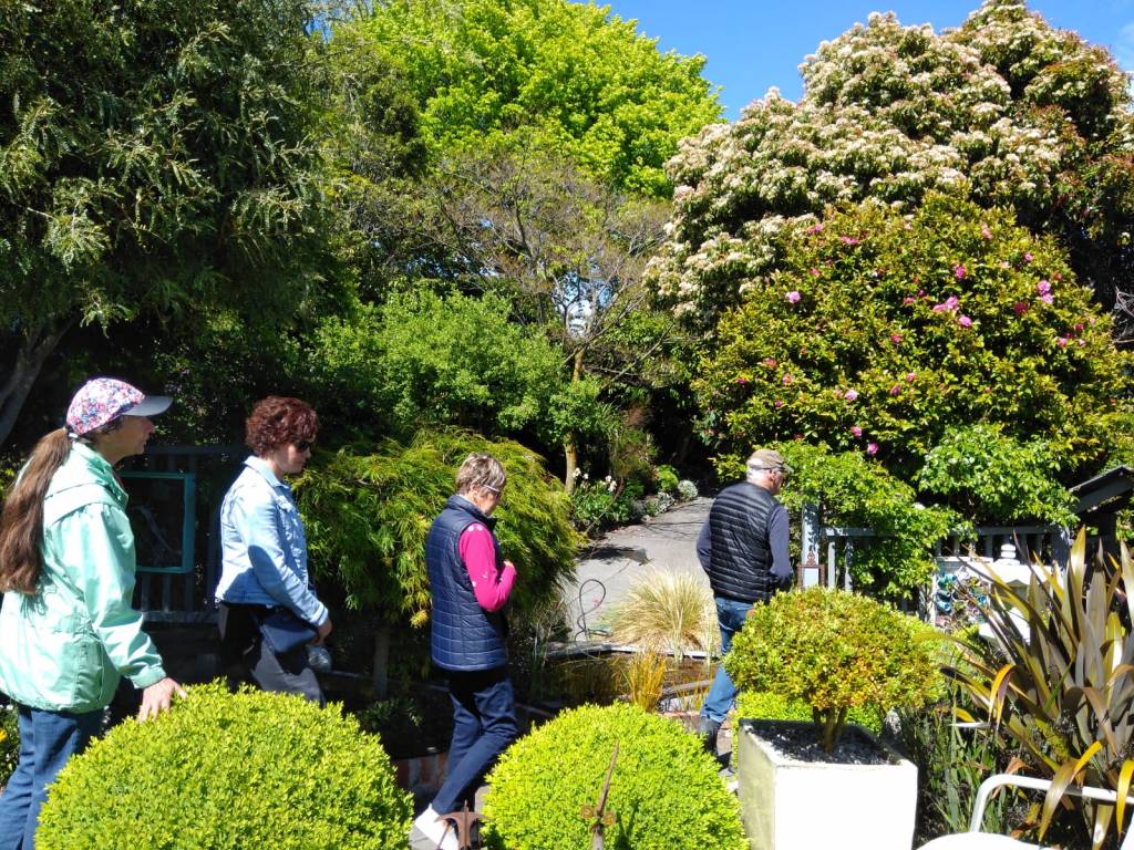 Get your guide to explore a quirky artsy urban garden