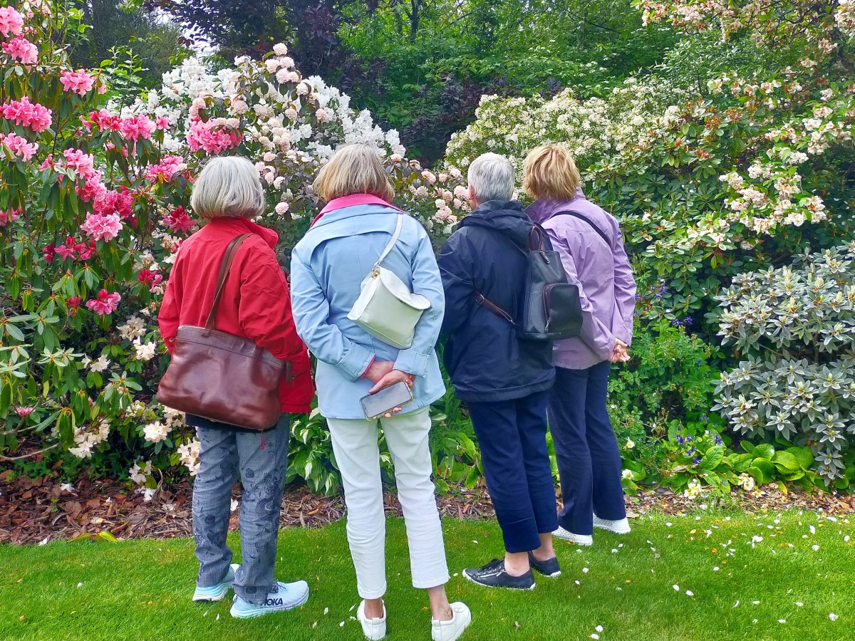 Gift a memorable&nbsp;experience