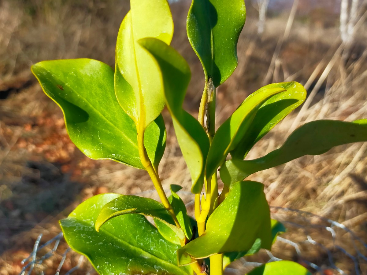 Carbon neutral and&nbsp;improving