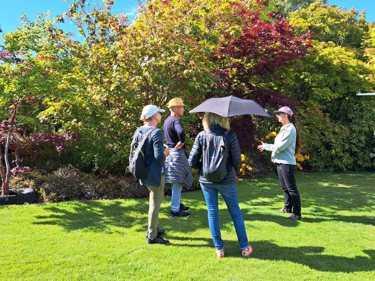 Lifestyle Business For Sale